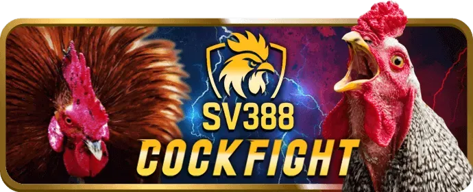 Thẻ khuyến mãi 98win5 chào mừng thành viên mới